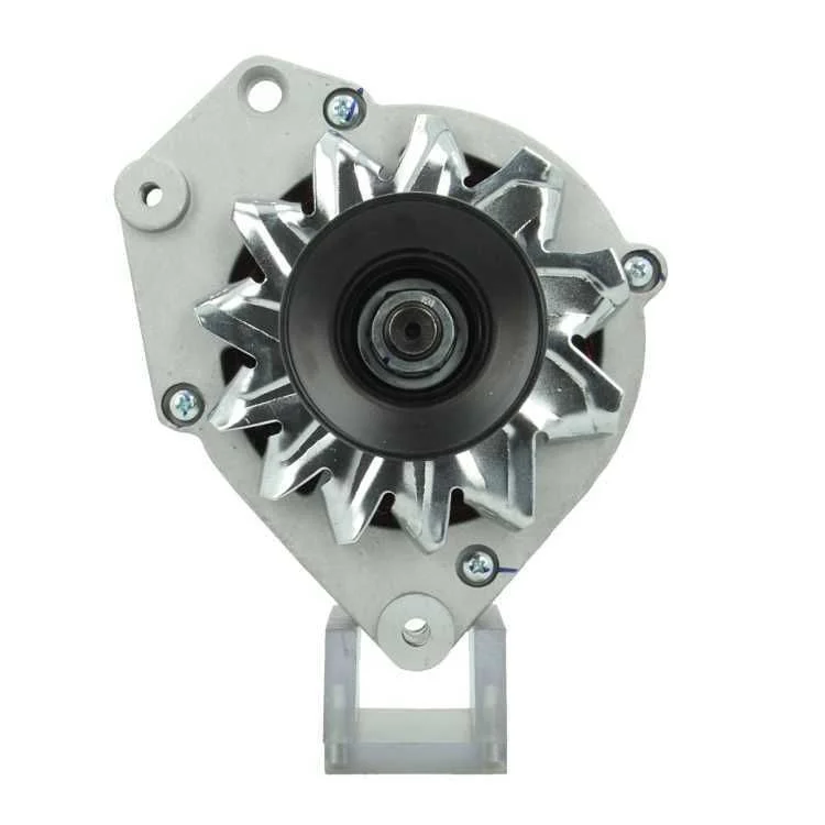 Alternator BV PSH 305.019.090.010