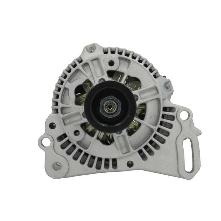 Alternator BV PSH 305.501.070.010
