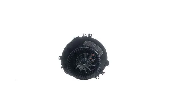 Vidaus pūtiklis MAHLE AB 353 000S