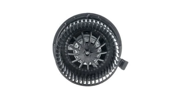 Vidaus pūtiklis MAHLE AB228000S