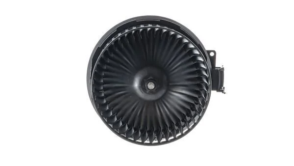 Vidaus pūtiklis MAHLE AB 238 000P