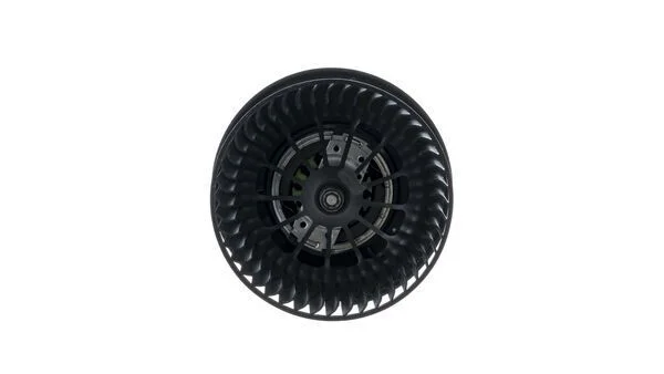 Vidaus pūtiklis MAHLE AB 245 000P