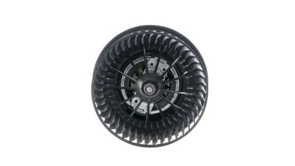 Vidaus pūtiklis MAHLE AB 247 000P