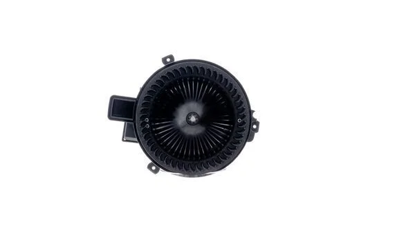 Vidaus pūtiklis MAHLE AB315000P