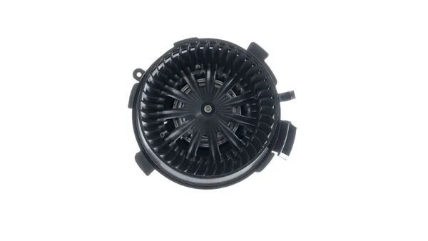 Vidaus pūtiklis MAHLE AB 67 000P