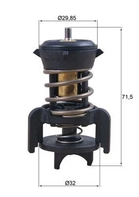 Termostatas, aušinimo skystis MAHLE TX25194D