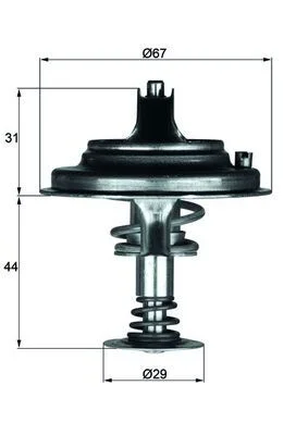 Termostatas, aušinimo skystis MAHLE TX 26 80D