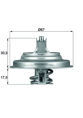 Termostatas, aušinimo skystis mahle TX5483D