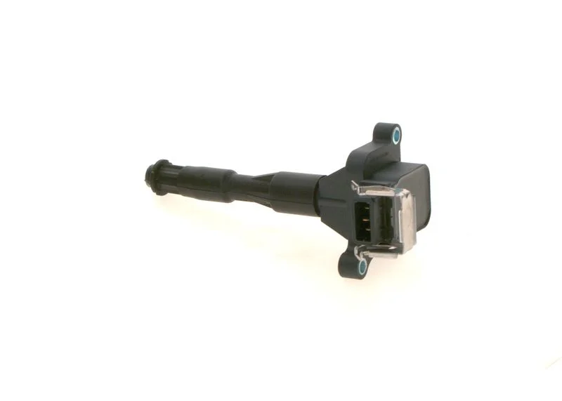 Ritė, uždegimas BOSCH 0 221 504 029