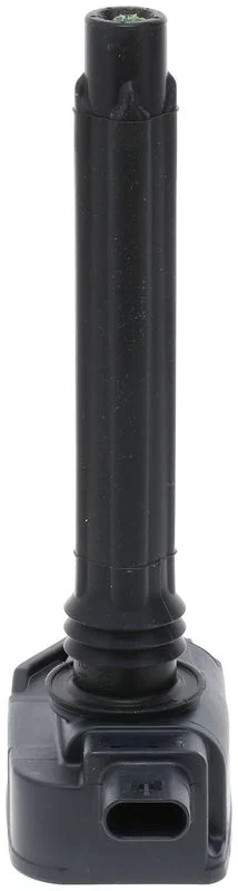 Ritė, uždegimas BOSCH 0221504046