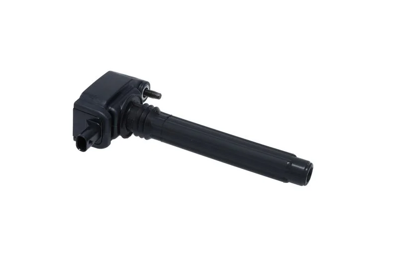 Ritė, uždegimas BOSCH 0221504048