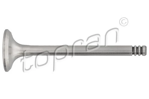 Exhaust Valve TOPRAN 100 615