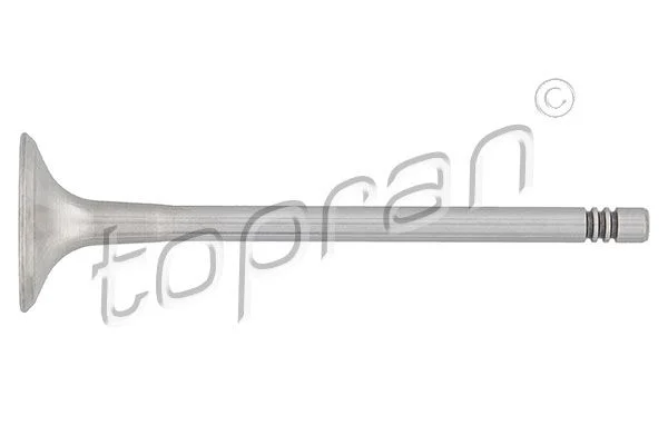 Exhaust Valve TOPRAN 107 132