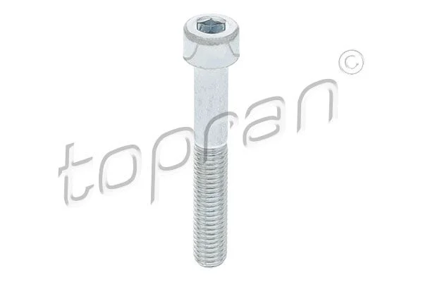 Bolt, brake caliper TOPRAN 110 707