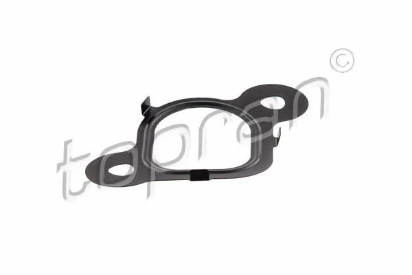 Gasket, intake manifold TOPRAN 113 134