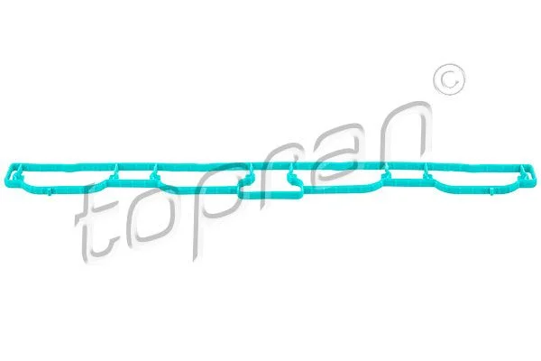 Gasket, intake manifold TOPRAN 113 160