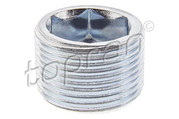 Screw Plug, automatic transmission casing TOPRAN 115 346
