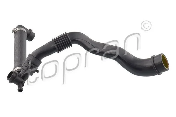 Hose, cylinder head cover ventilation TOPRAN 117 340