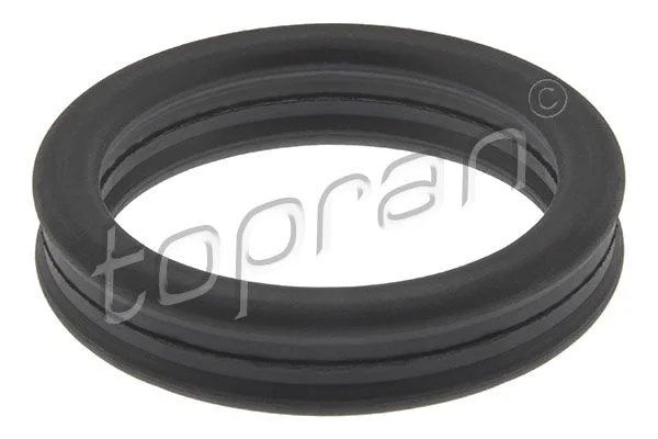 Gasket, coolant pipe TOPRAN 119 260