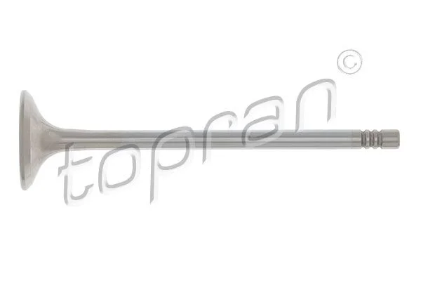 Exhaust Valve TOPRAN 205 579