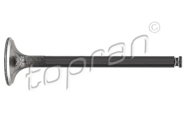 Exhaust Valve TOPRAN 400 972