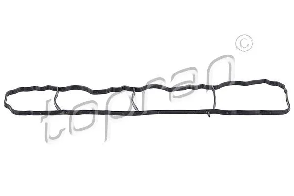 Gasket, intake manifold TOPRAN 408 921