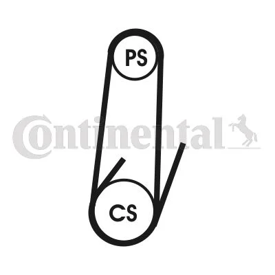 V-ribbed Belt Set CONTINENTAL CTAM 4PK1022 ELAST T1