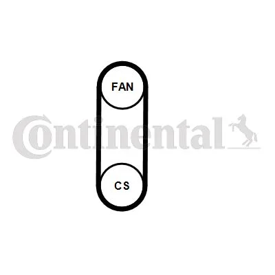 V-ribbed Belt Set CONTINENTAL CTAM 4PK711 ELAST T1