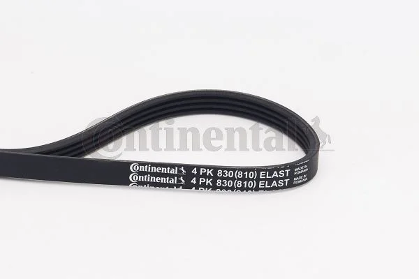 V formos rumbuoti diržai CONTINENTAL CTAM 4PK830ELAST