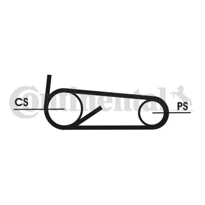 V-ribbed Belt Set CONTINENTAL CTAM 4PK922 ELAST T1