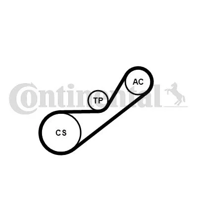 V-ribbed Belt Set CONTINENTAL CTAM 4PK925K1