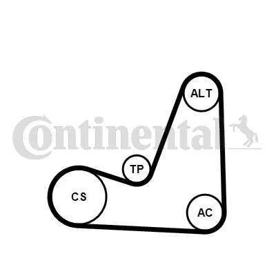 V-ribbed Belt Set CONTINENTAL CTAM 5PK1200K1