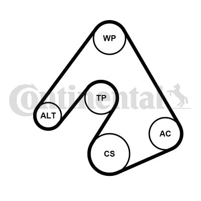 Water Pump + V-ribbed Belt Kit CONTINENTAL CTAM 5PK1207WP1