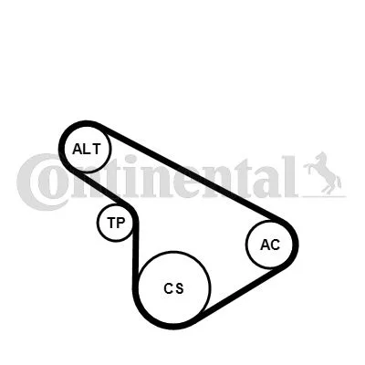 V-ribbed Belt Set CONTINENTAL CTAM 5PK1212K1