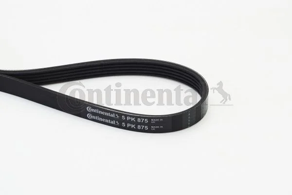 Rebrovaný klinový remeň CONTINENTAL CTAM 5PK875