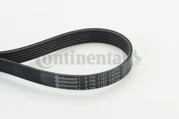 V-ribbed Belt CONTINENTAL CTAM 6PK1157 EXTRA