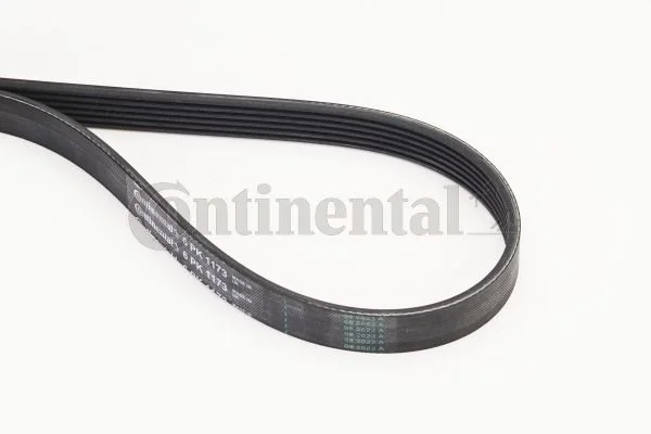 V-ribbed Belt CONTINENTAL CTAM 6PK1173