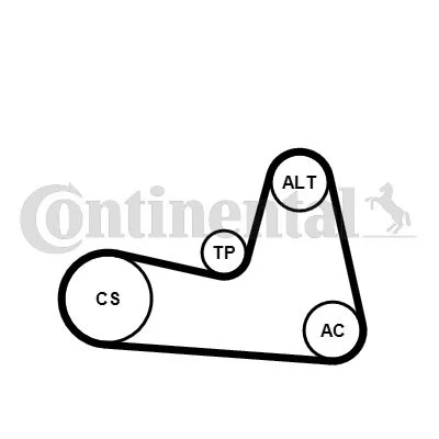 V-ribbed Belt Set CONTINENTAL CTAM 6PK1200K2