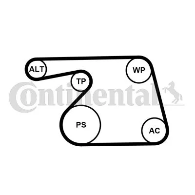 V-ribbed Belt Set CONTINENTAL CTAM 6PK1318K2