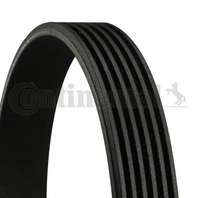 V-ribbed Belt CONTINENTAL CTAM 6PK1352