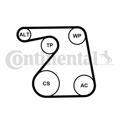 Water Pump + V-ribbed Belt Kit CONTINENTAL CTAM 6PK1360WP1