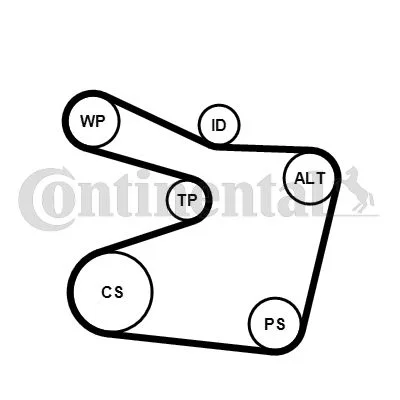 V-ribbed Belt Set CONTINENTAL CTAM 6PK1555K1