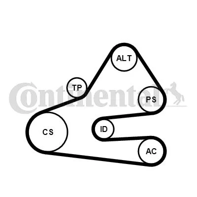 V formos rumbuotas diržas, komplektas CONTINENTAL CTAM 6PK1613K1