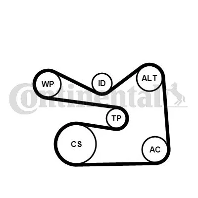 V-ribbed Belt Set CONTINENTAL CTAM 6PK1733K3