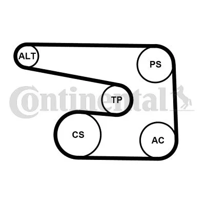 V-ribbed Belt Set CONTINENTAL CTAM 6PK1873K5