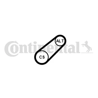 V-ribbed Belt CONTINENTAL CTAM 6PK799 ELAST