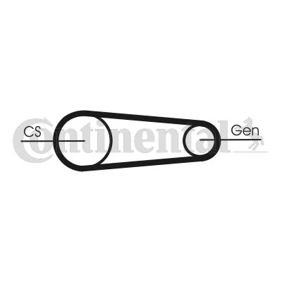 V-ribbed Belt Set CONTINENTAL CTAM 6PK831 ELAST T1