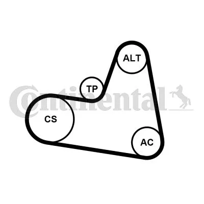 V-ribbed Belt Set CONTINENTAL CTAM 6PK962K1