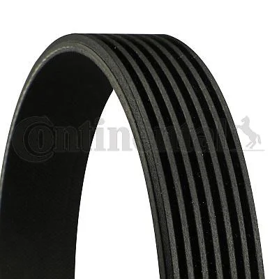 V-ribbed Belt CONTINENTAL CTAM 7PK1040