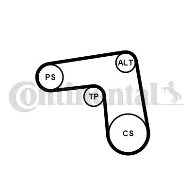 V-ribbed Belt Set CONTINENTAL CTAM 7PK1076K1